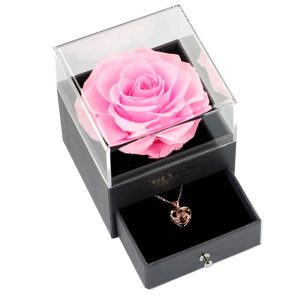 Preserved Flower Jewelry Box Necklace Rose Acrylic